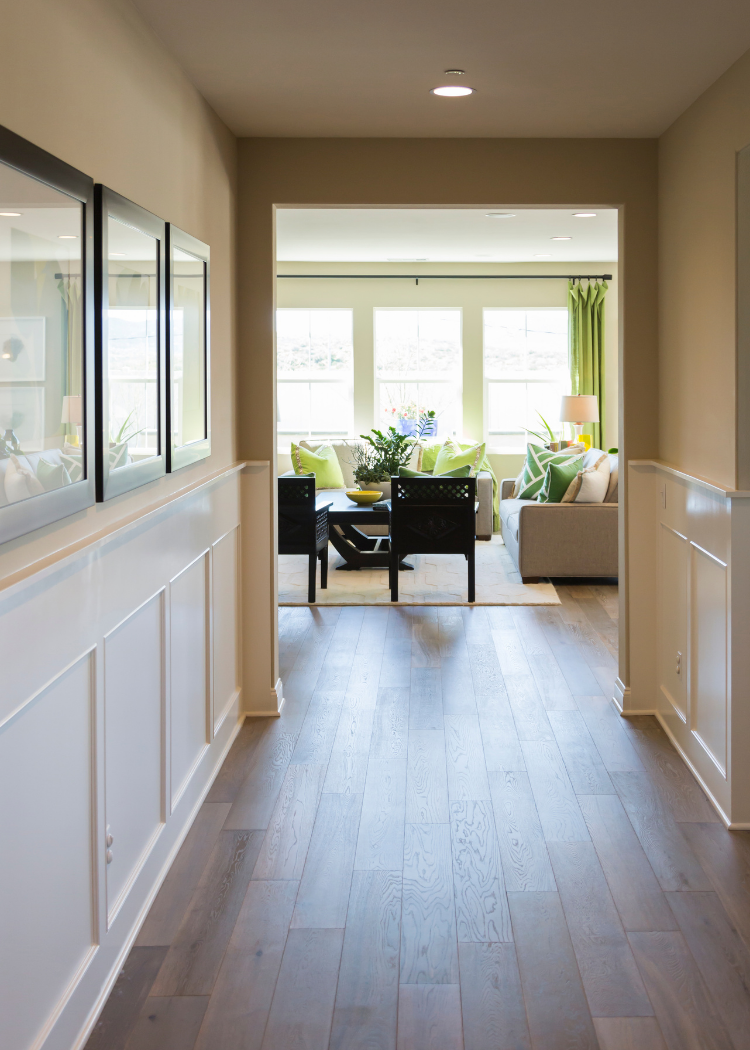 Bright hallway leading to a living room with green cushions and plants by large windows